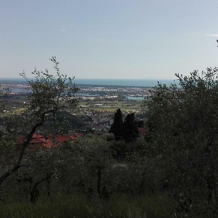 Casa Greta Βίλα Massarosa Εξωτερικό φωτογραφία