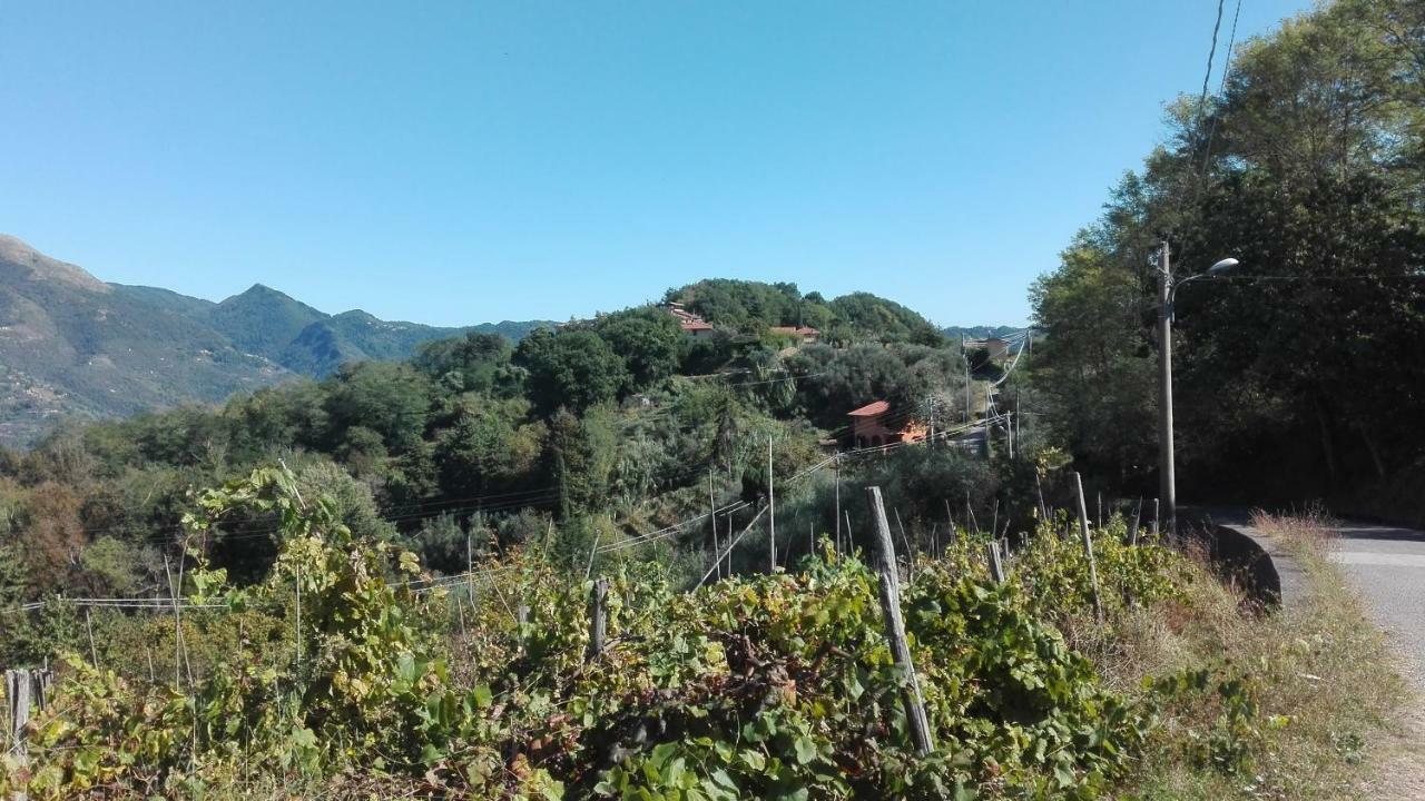 Casa Greta Βίλα Massarosa Εξωτερικό φωτογραφία