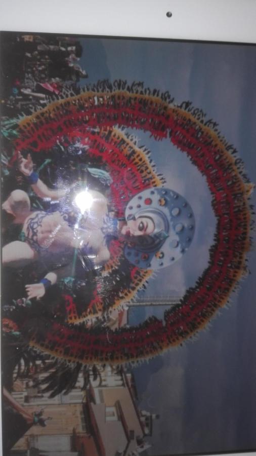 Casa Greta Βίλα Massarosa Εξωτερικό φωτογραφία